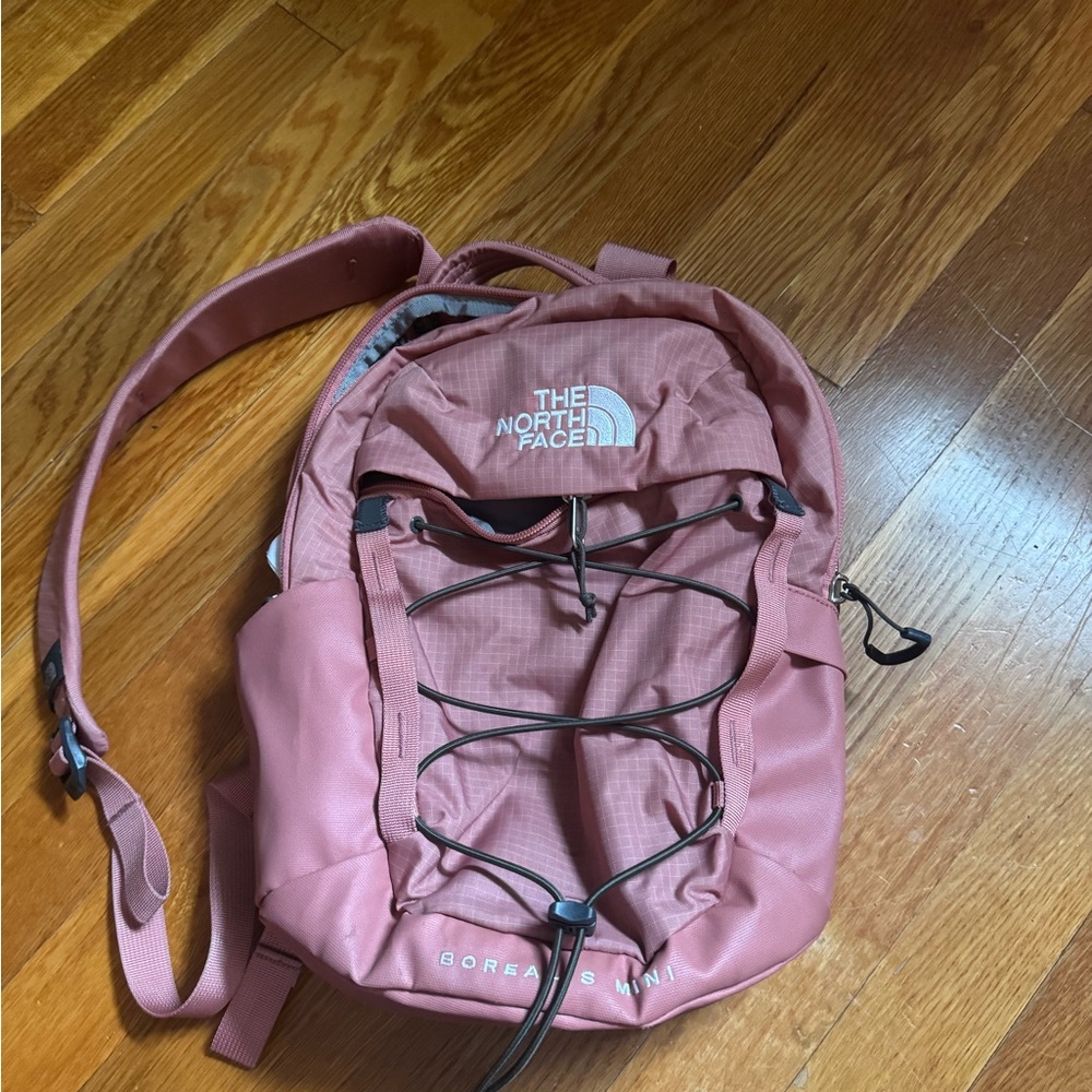 The North Face Dusty Rose Backpack